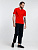 Рубашка поло мужская Adam, красная - миниатюра - рис 10.