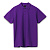 Рубашка поло мужская Spring 210, темно-фиолетовая - миниатюра