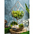 Сад в стекле ”Красочный день” - миниатюра - рис 2.