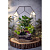 Сад в стекле “Эйфория” - миниатюра - рис 4.
