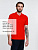 Рубашка поло мужская Adam, красная - миниатюра - рис 5.