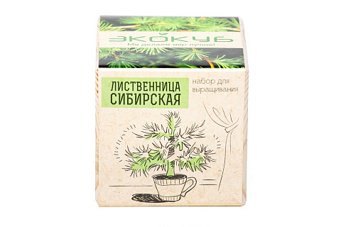 Набор для выращивания «Экокуб», лиственница сибирская - рис 3.