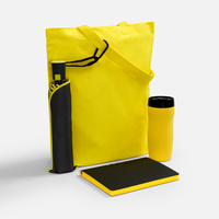 Набор Flexpen Black Walk, черный с желтым