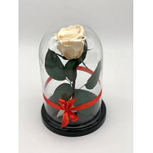 Белая роза в колбе из стекла