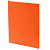 Ежедневник Flat Light, недатированный, оранжевый - миниатюра - рис 3.