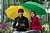 Зонт-трость Promo, желтый - миниатюра - рис 5.