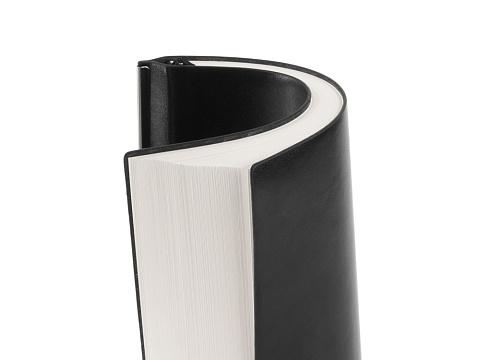 Блокнот А5 Scribe, гибкая обложка, 96 листов 80 гр/м2 , черный - рис 7.