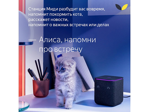 Умная колонка ЯНДЕКС Станция Миди с Алисой, с Zigbee, 24 Вт, цвет: серый (YNDX-00054GRY) - рис 18.