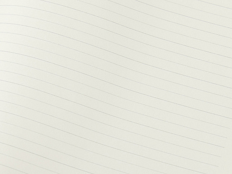 Бизнес-блокнот С3 софт-тач с магнитом, твердая обложка, 96 листов, черный - рис 8.