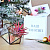 Новогодний праздничный набор "Тропики в стекле" маленький - миниатюра