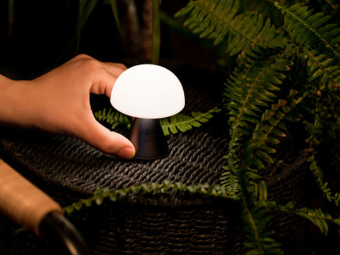 Лампа интерьерная Mina, Gun metal - рис 5.