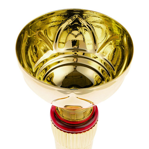 Кубок Awardee, малый, красный - рис 4.