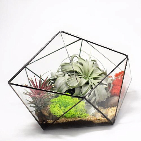 Сад в стекле “Дремучий лес” - рис 2.