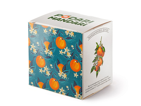 Подарочный набор с чаем и сладостями ПодариМандари (Р) - рис 9.