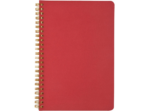 Бизнес тетрадь на гребне А5 Pragmatic, 60 листов в клетку, красный - рис 2.