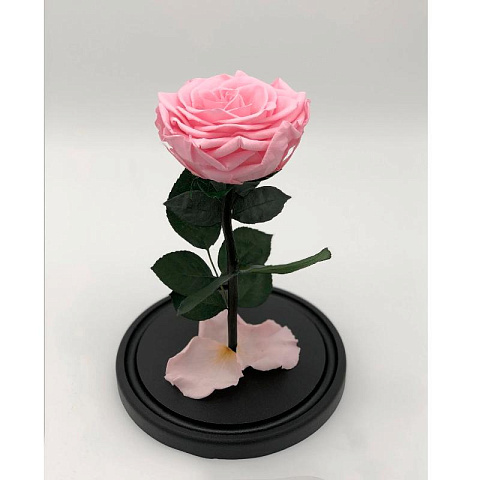 Розовая роза в колбе (средняя) - рис 2.