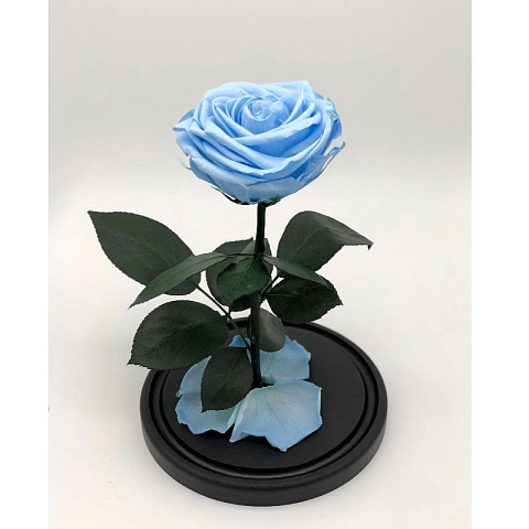 Голубая роза в колбе (средняя) - рис 2.