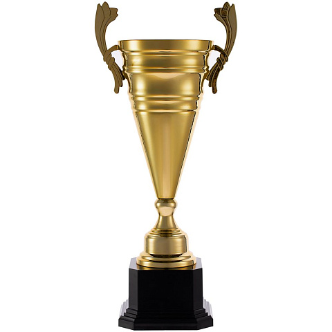 Кубок Recordsman, золотистый - рис 2.