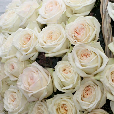 Корзина с белыми розами O'Hara - рис 3.