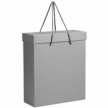 Коробка - пакет для подарков (27х10 см)