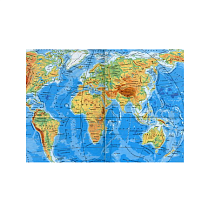 Обложка для загранпаспорта World Map