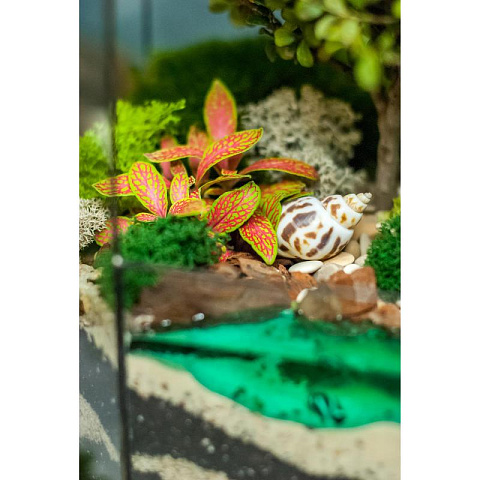 Сад в стекле Сказочный Остров - рис 2.