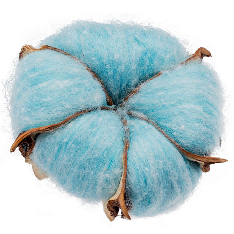 Цветок хлопка Cotton, голубой - рис 2.