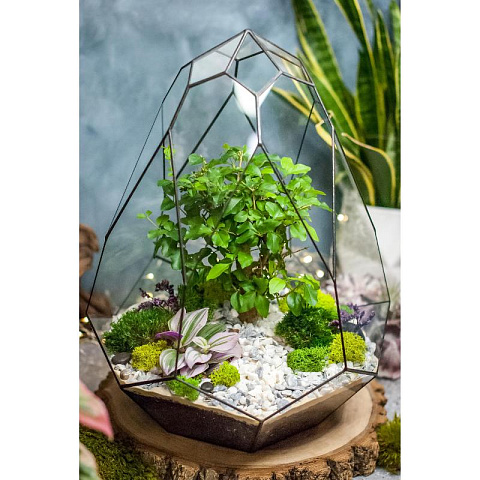 Сад в стекле Гармония природы - рис 9.