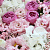 Набор цветов с макарунами Pink XL - миниатюра - рис 2.