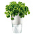 Горшок для растений с автополивом (Белый) - миниатюра