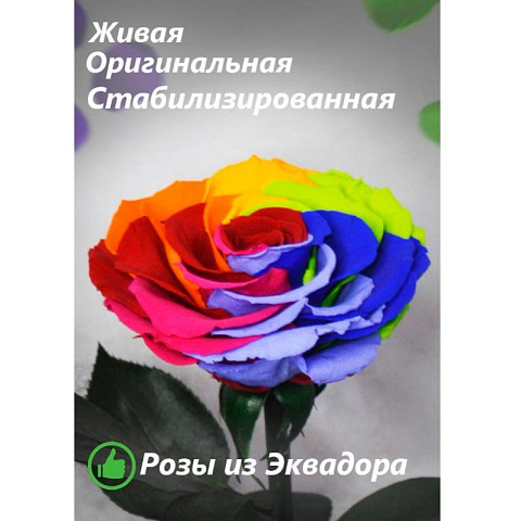 Радужная роза в колбе (большая) - рис 2.