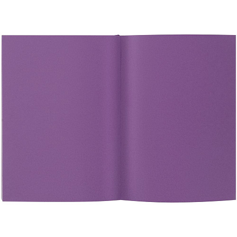 Ежедневник Flat, недатированный, фиолетовый - рис 4.
