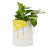 Кашпо для растений Color (желтый) - миниатюра