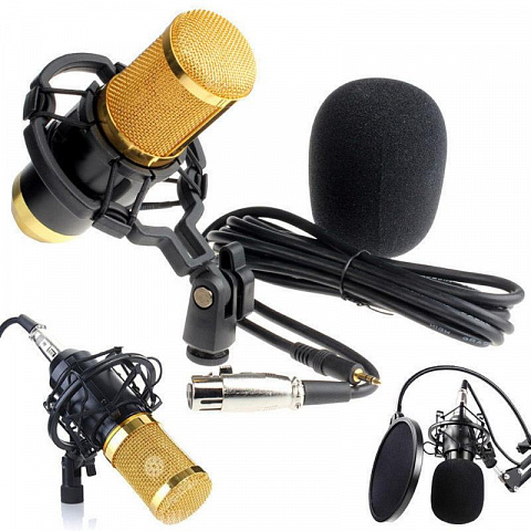 Студийный микрофон Professional - рис 7.