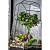 Сад в стекле Оазис с бонсай - миниатюра - рис 4.
