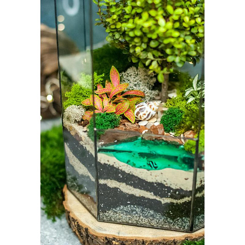 Сад в стекле Сказочный Остров - рис 3.