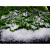 Искусственный снег Ледяная крошка (100гр) - миниатюра - рис 3.