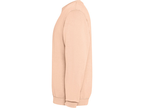 Свитшот Jaya унисекс, светло-абрикосовый выстиранный - рис 4.