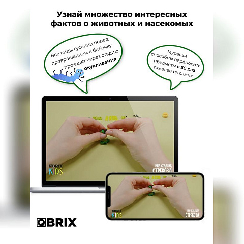 Конструктор KIDS Мир букашек - рис 4.