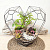 Сад в стекле “Поцелуй” - миниатюра