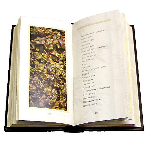 Книга энциклопедия "Китайские мудрости на пути чая" - рис 7.