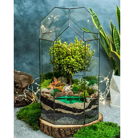 Сад в стекле Сказочный Остров