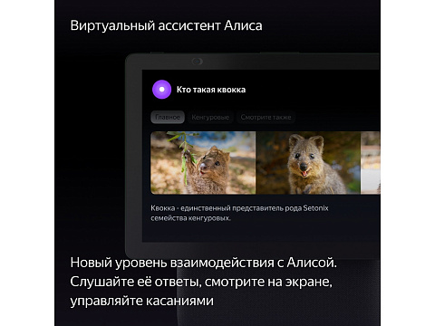 Умная колонка ЯНДЕКС Станция Дуо Макс с Алисой, с Zigbee, 60 Вт, цвет: зеленый (YNDX-00055GRN) - рис 9.