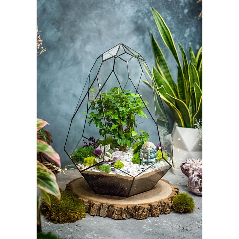 Сад в стекле Гармония природы - рис 3.