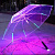 Зонт с подсветкой - миниатюра