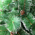 Искусственная елка с шишками (300 см) - миниатюра - рис 2.
