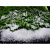 Искусственный снег Ледяная крошка (150гр) - миниатюра - рис 3.