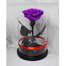 Фиолетовая роза в колбе (большая)