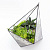Подвесной геометрический флорариум "Осколок" - миниатюра - рис 2.
