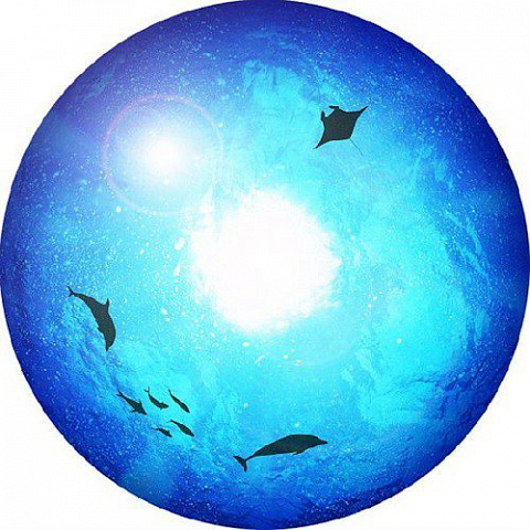Проекционный диск "Под водой" для планетария Homestar